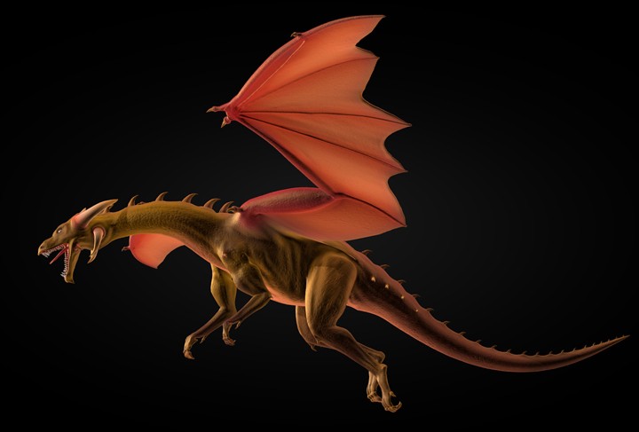 Dragon Rig And Textures preview image 1